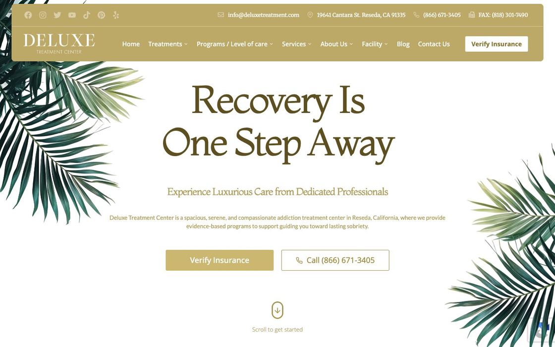 Deluxe Treatment Center website: light homepage with palm leaves and the headline Recovery is one step away